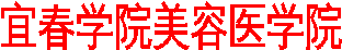 艺术字 2